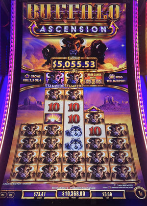 Beginner Course Curriculum