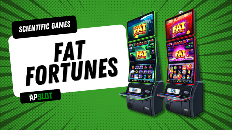 Fat Fortunes/Puffy Penguin advantage play slot machine